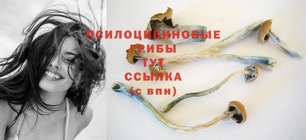 МДПВ Абаза