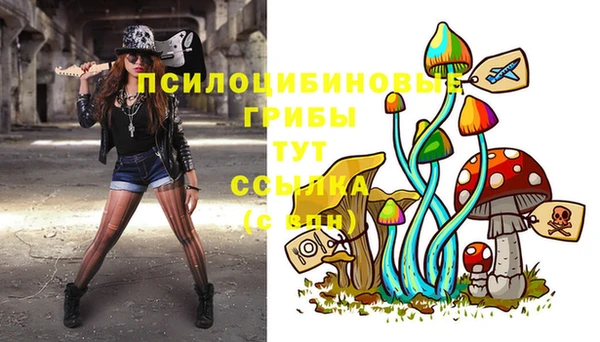 мдпв Абдулино