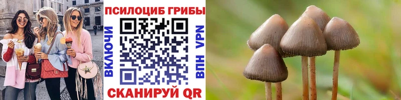Галлюциногенные грибы GOLDEN TEACHER  Челябинск 
